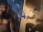 Aliens Genetically Created Us: Overwhelming Evidence