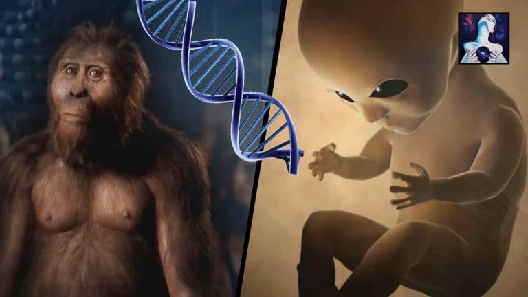 Aliens Genetically Created Us: Overwhelming Evidence